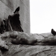Cadaver
