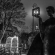 Sklodowska's monument