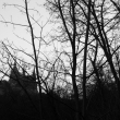 Transylvania in Prague