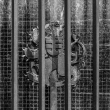 Jailed Republic 1938, 1948, 1968